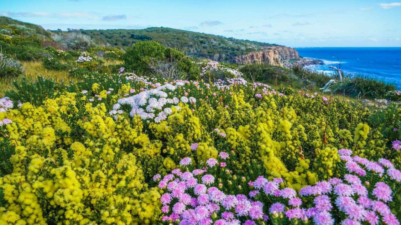 By The Sea Margaret River 나라법 외부 사진